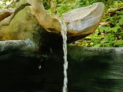 -浮槎山