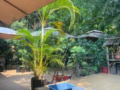 -品德宏·孔雀宴的发源地(金塔园店)