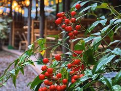 -宁波五龙潭景区