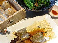 -侨美·唐荔园·40年地道粤菜