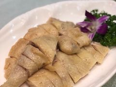 -欢乐海岸美食联盟