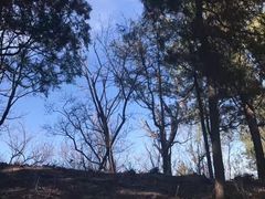 -北京鹫峰国家森林公园