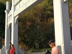 -羚羊峡古栈道森林公园