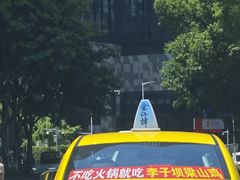 -李子坝梁山鸡(李子坝大鸡哥店)