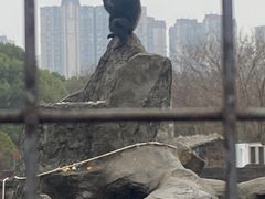 -南昌动物园