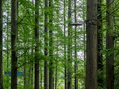 -南山风景名胜区