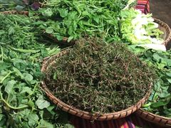 -昆虫窝子·特色云南菜(拓东路总店)