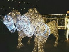 -国色天乡三期陆地乐园
