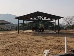 -无锡动物园·太湖欢乐园