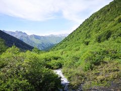 -黄龙山原始森林景区