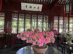 -上海醉白池公园