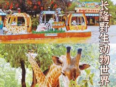 -广州长隆野生动物世界