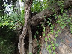 -青岛第三海水浴场