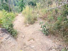 -青龙山国家森林公园
