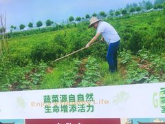 -黄泥岗·地道湖北菜(奥特莱斯店)