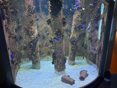 -海合安武汉极地海洋公园