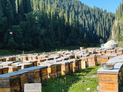 -新疆那拉提国家旅游度假区