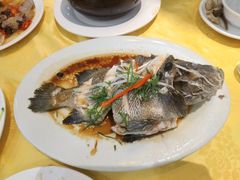 清蒸龙胆石斑-莲花公园煎蟹(总店)
