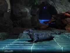 -暹罗海洋世界