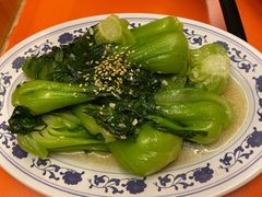 -拉面莊夢語＆中华料理八椿