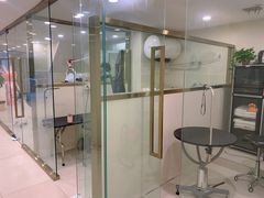 -当汪遇见喵宠物店