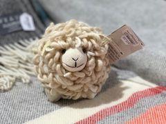 -怀托摩萤火虫洞