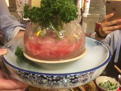 冰川鹅肠-蜀大侠火锅(东园路店)