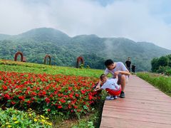 -广州市石门国家森林公园