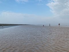 -南汇嘴观海公园