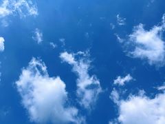 -星光岛