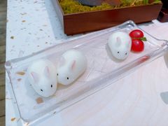 小白兔布丁-大树餐厅(环球港店)