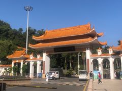 -深圳仙湖植物园