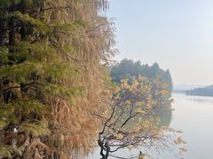 -东湖落雁景区