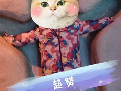 -海合安青岛极地海洋公园