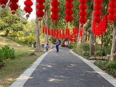 -广西壮族自治区药用植物园