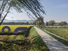 -长兴太湖图影湿地文化园