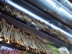 -乐乐姐超级土豆(中关村5号店)