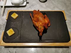 -大鸽饭(体育西路店)