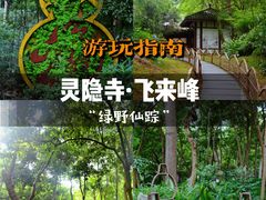 -灵隐飞来峰景区