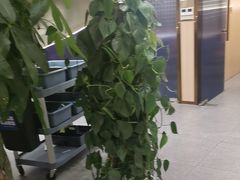 -七欣天香辣蟹火锅(南京桥北太平店)