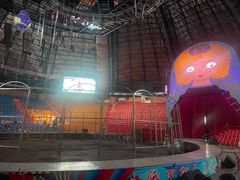 -俄罗斯国家大马戏团