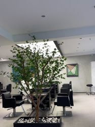 -付军剪艺JF ProSalon