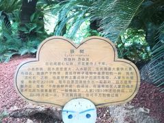 -呀路古热带植物园