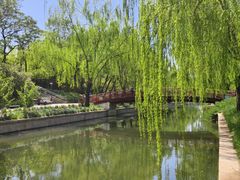 -元大都城垣遗址公园