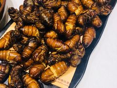 -海派美食·家宴海鲜青岛菜·石锅鲽鱼头(东方城店)