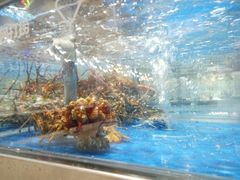 -盒马鲜生(财富中心店)