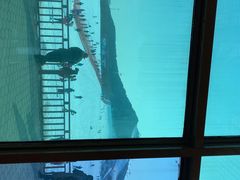 -北京莲花山滑雪场