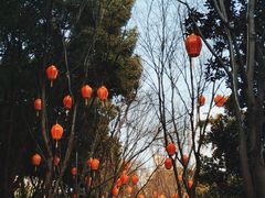 -徐家汇源景区-衡山公园