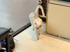 -拳盛时代拳击俱乐部(北京路店)