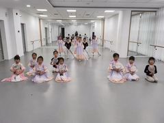 -西安小天鹅艺术团(金花路校区)